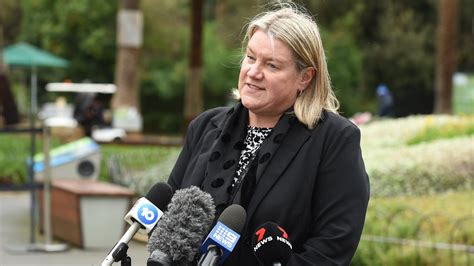 The Mental Health Minister on police stepping back from mental .